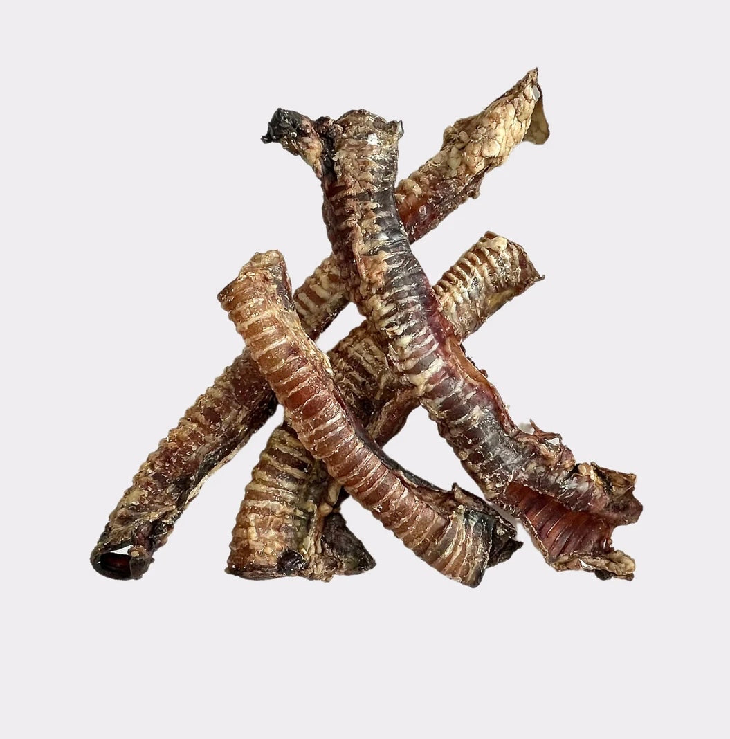 Large Beef Trachea