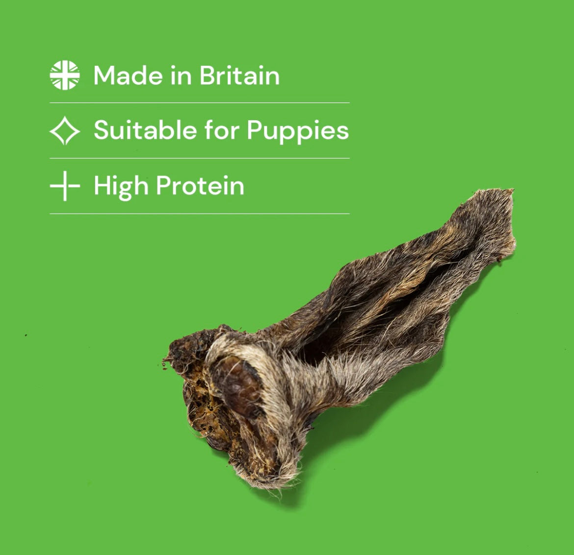 Hairy Lamb ears