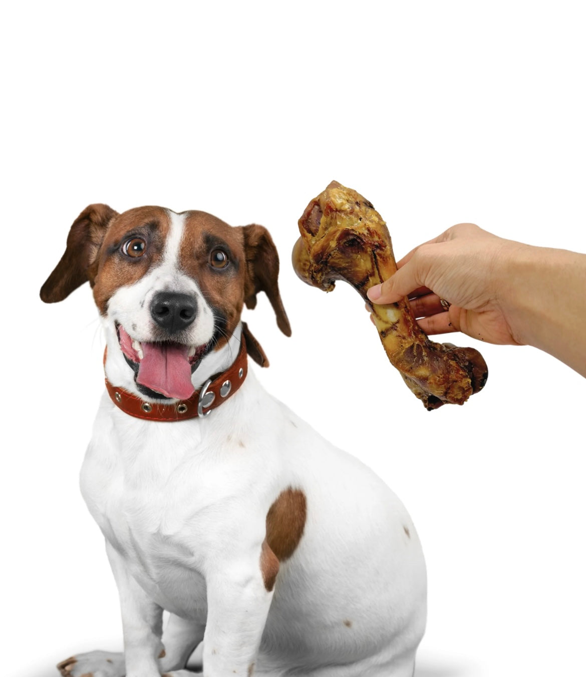 Pork Bone