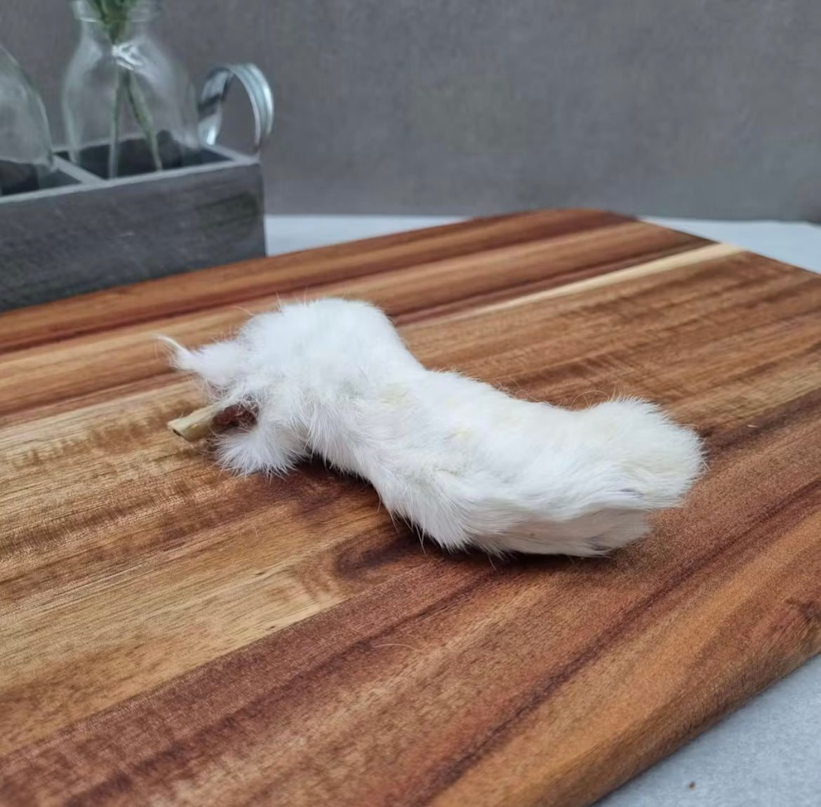 Furry Rabbit Feet