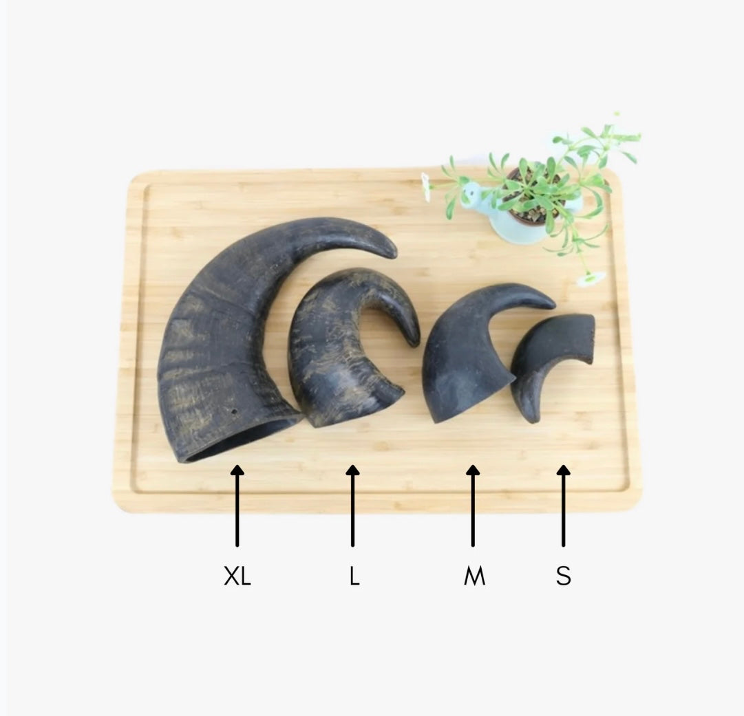 Buffalo Horns