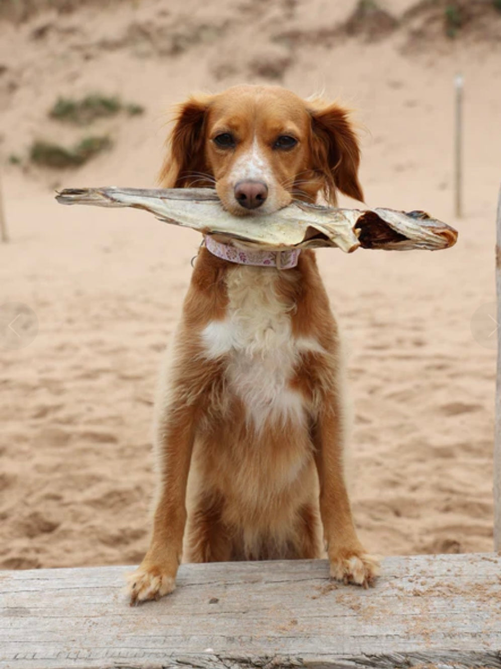 Whole air dried Haddock