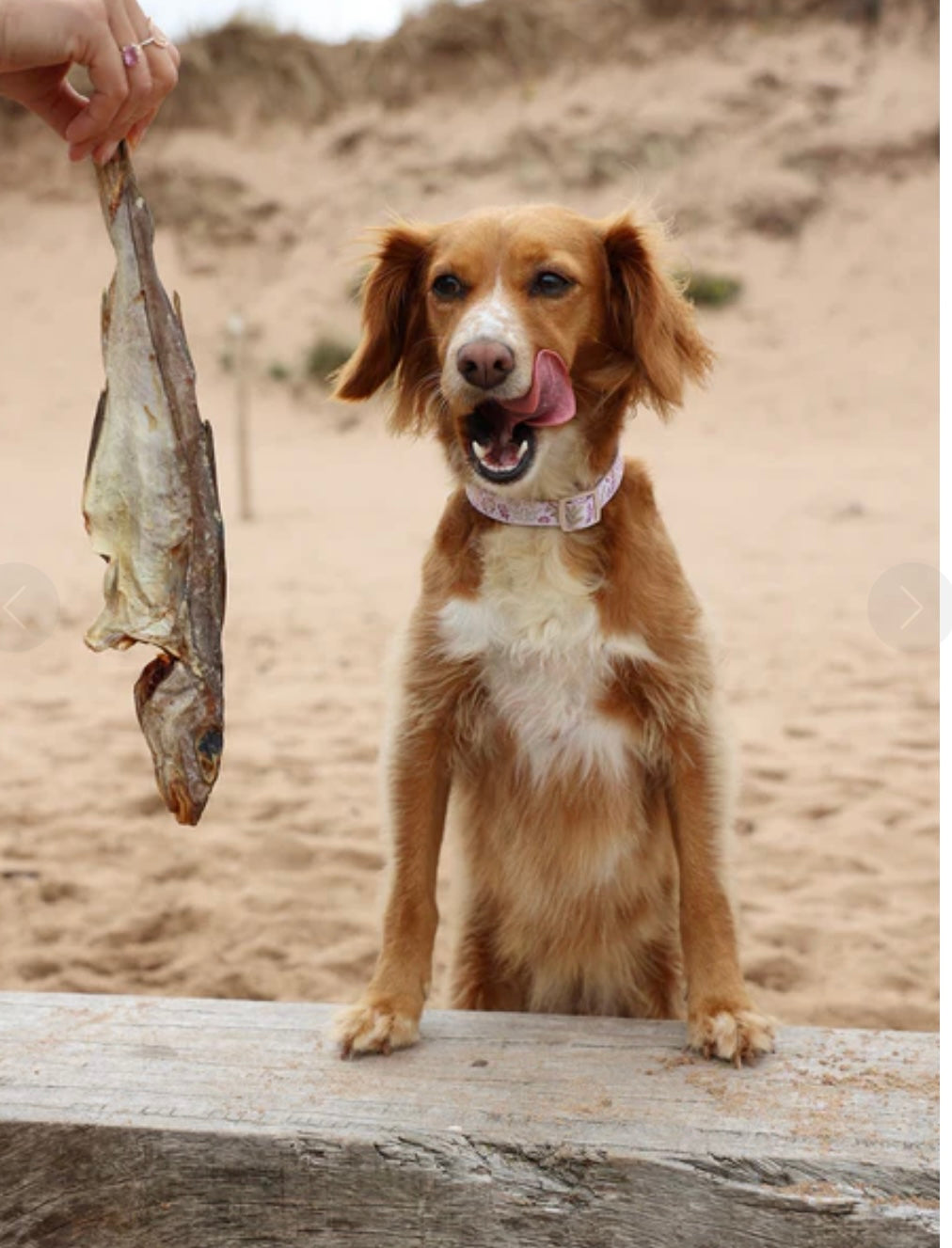 Whole air dried Haddock