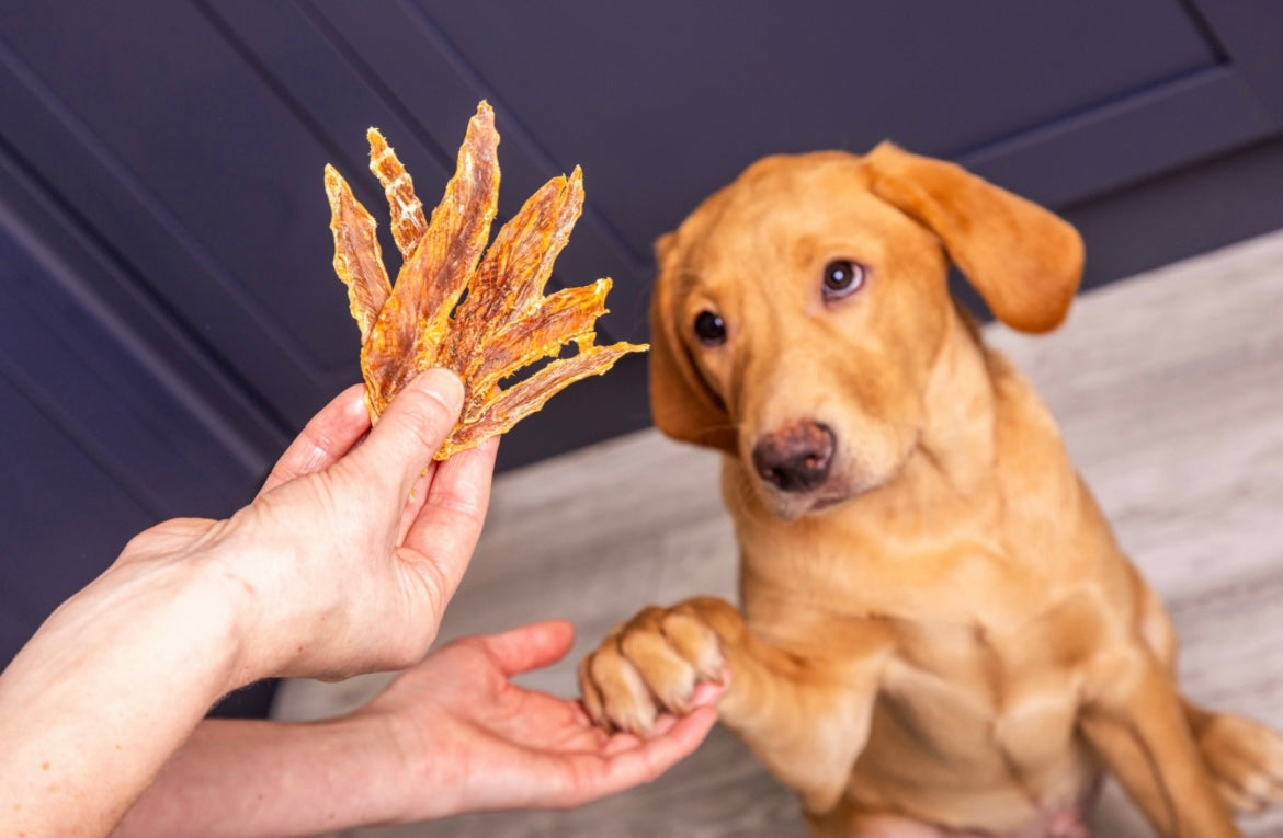 Duck Jerky 150g