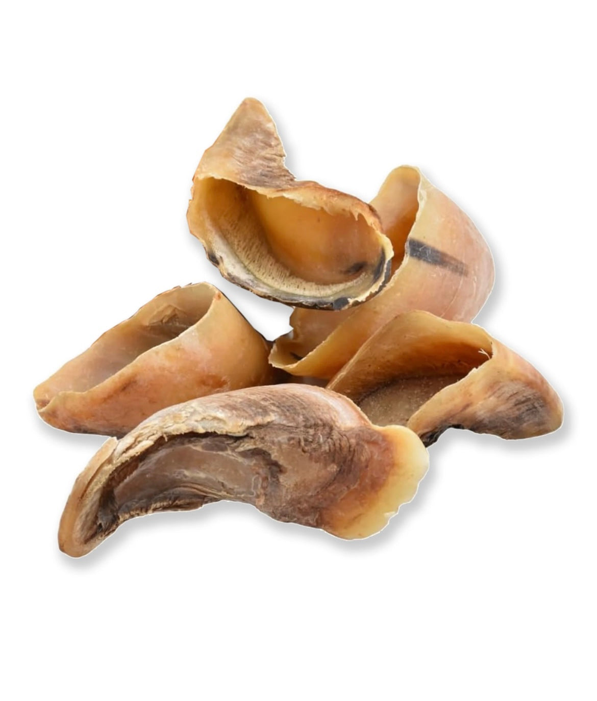 Cow Hooves