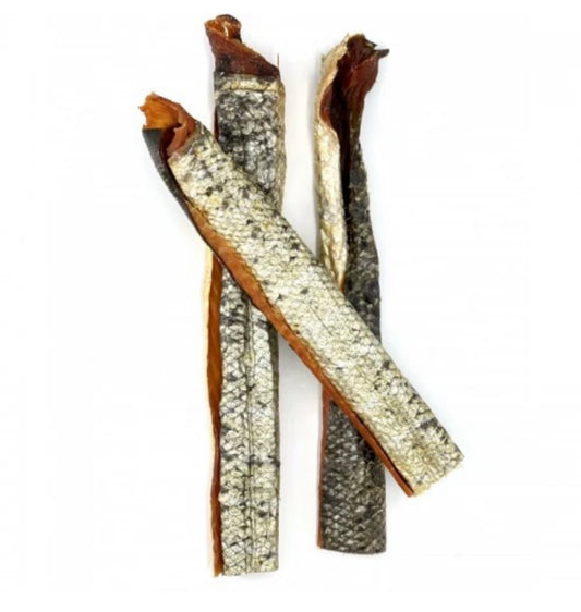 Salmon skin