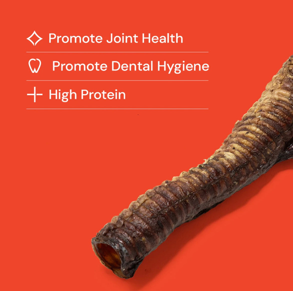 Jumbo Beef Trachea