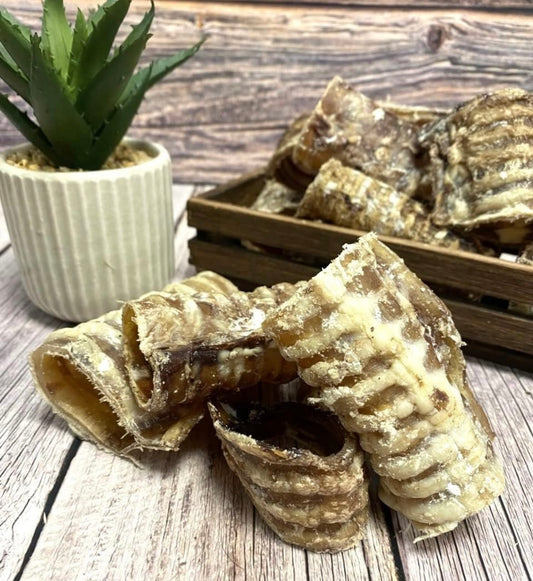 Beef Trachea Pieces