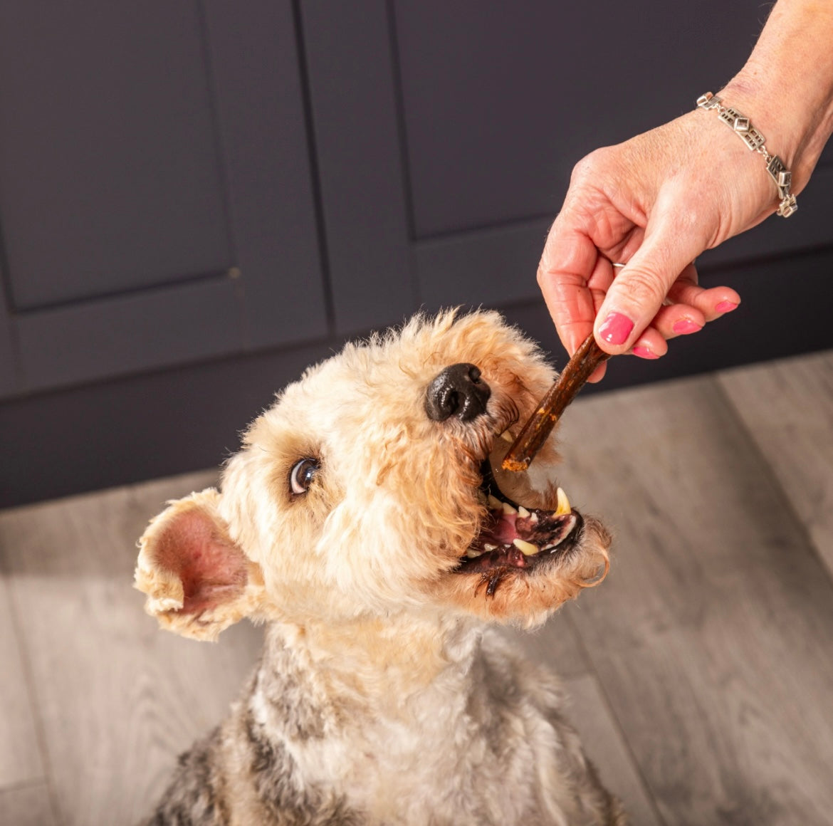 100% Pure Venison Gourmet Sticks