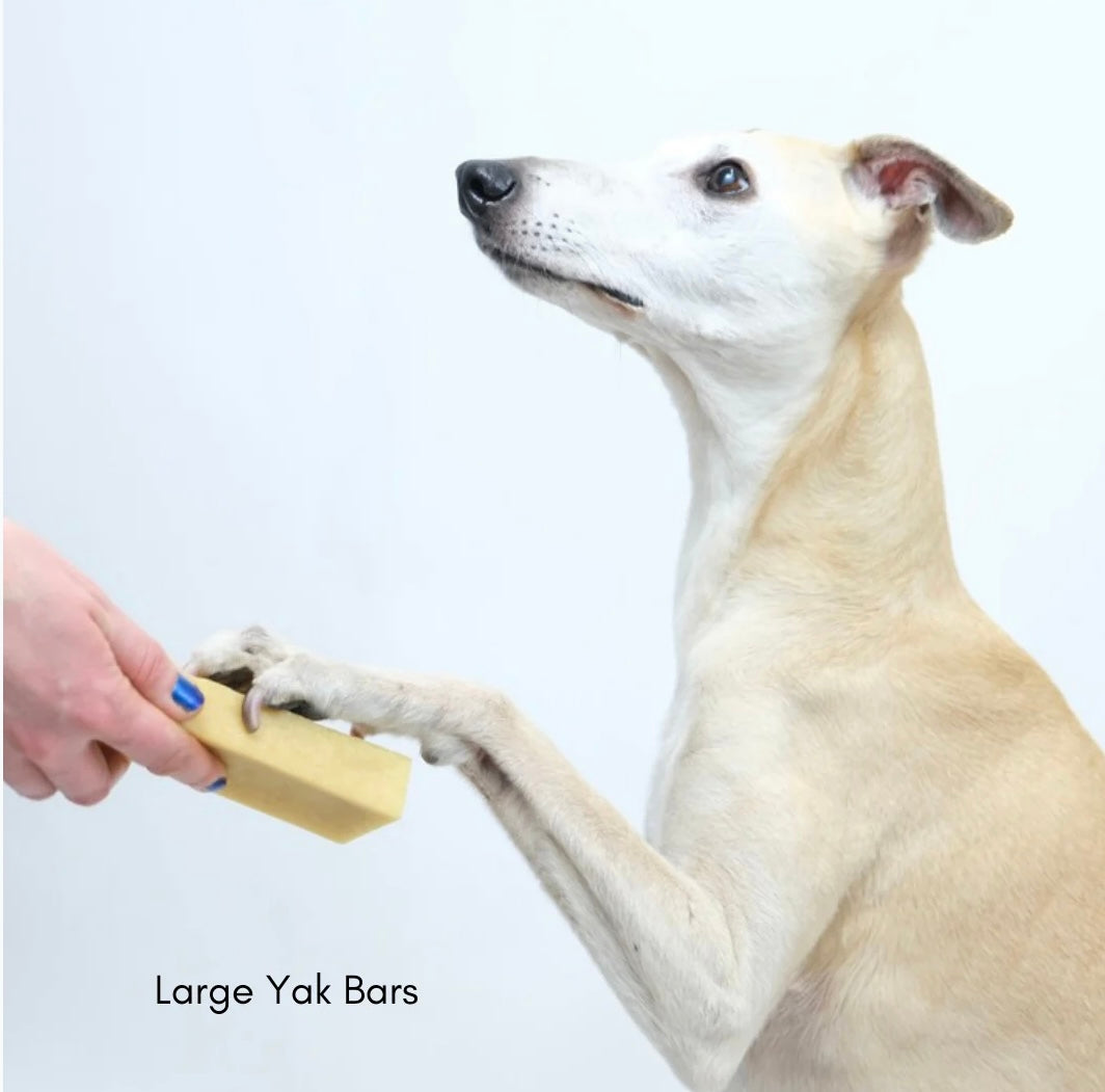 Yak Cheese Chews