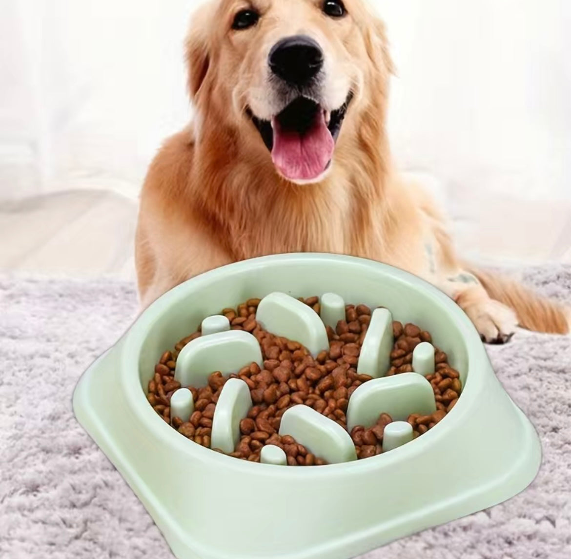 Slow feeder dog bowl