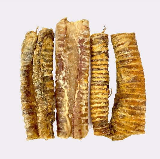 Beef Trachea 15cm